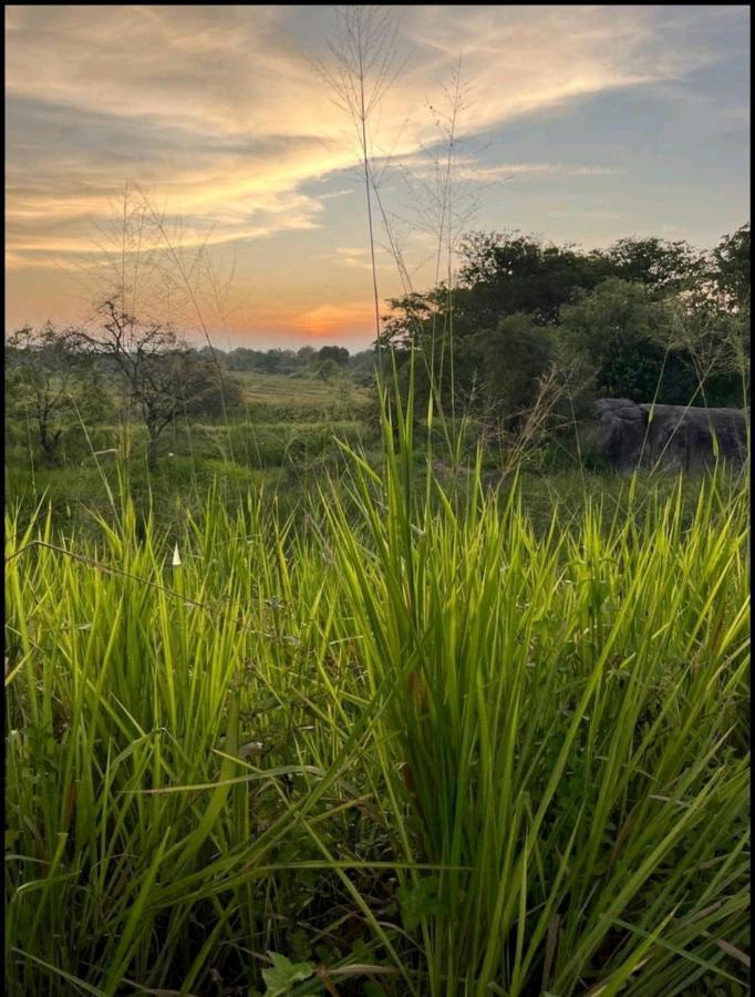 Sigiri Lake Paradise Villa Sigiriya Exterior photo